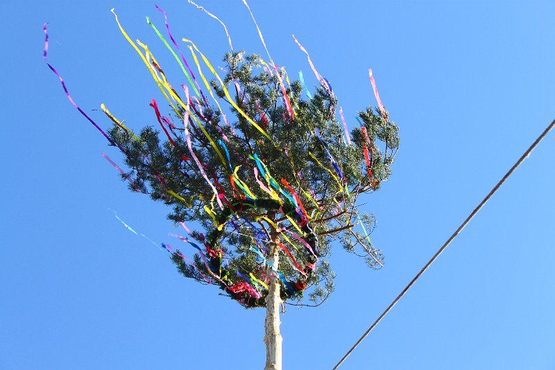 Stavanie maja (38).JPG